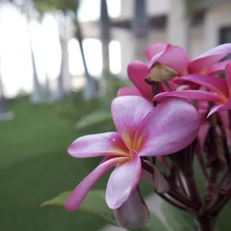 Villa Bimini *